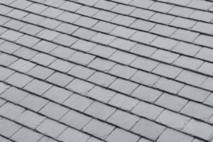 Home with a natural slate roof in Gaithersburg, MD