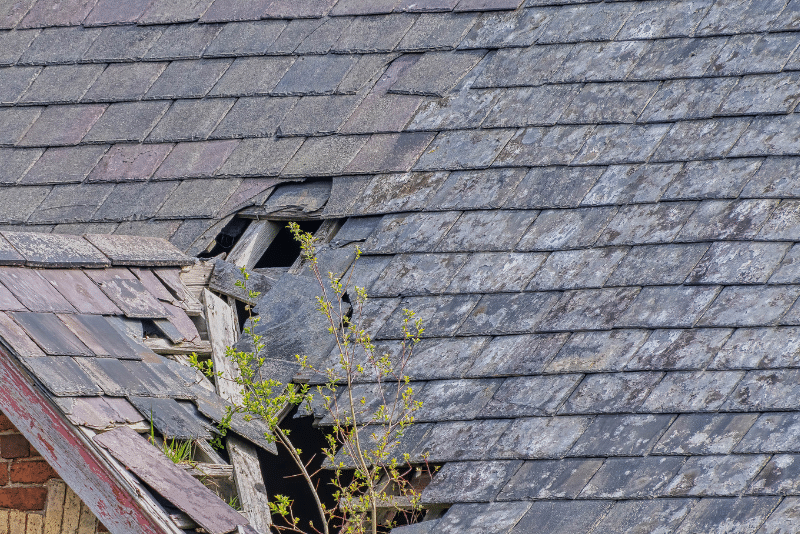 Aged slate roof highlighting common slate roof replacement signs